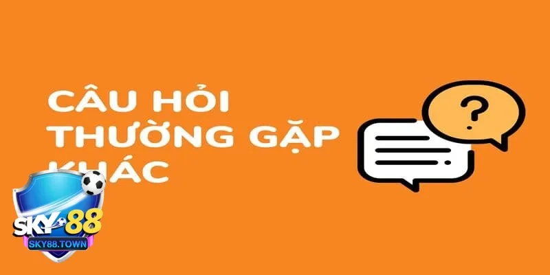 câu hỏi hay gặp